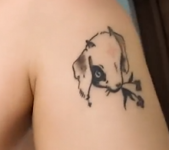 1725540976568.png