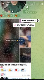 IMG_8290.jpeg
