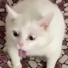 FMLYHM